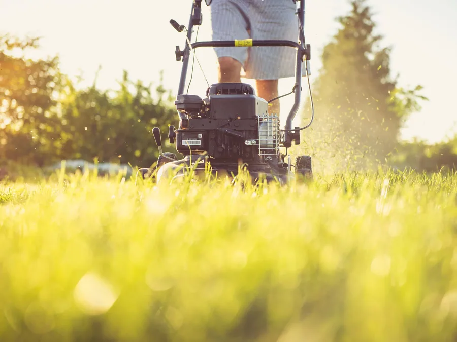 A Simple Lawn Care Calendar for the Upstate