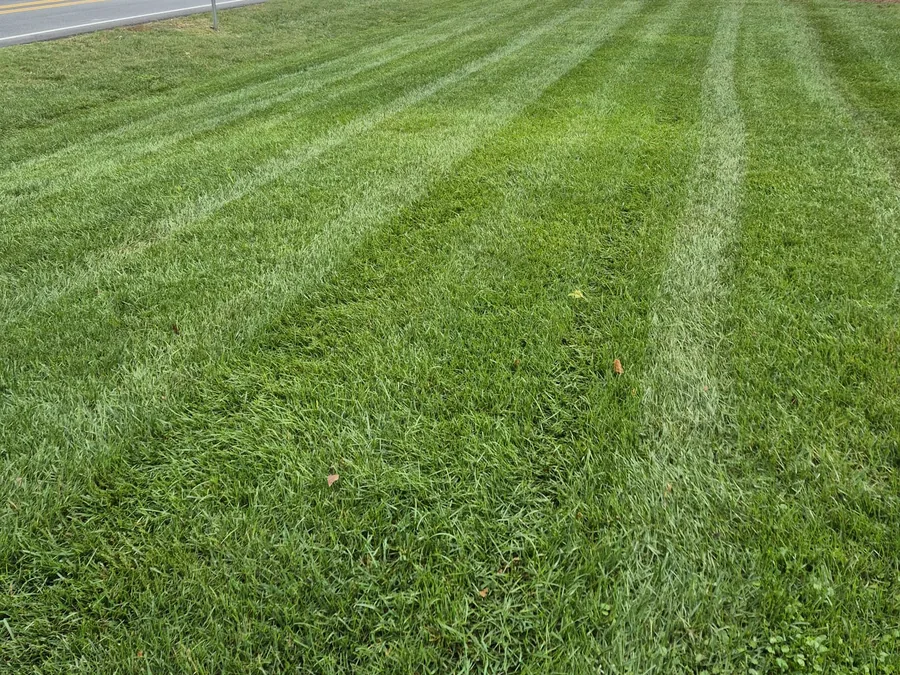 Lawn Mowing