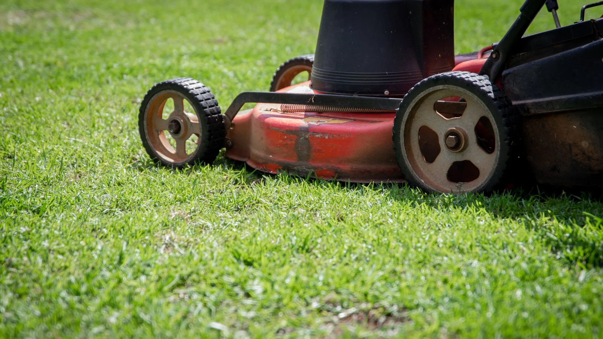 Lawn Mowing