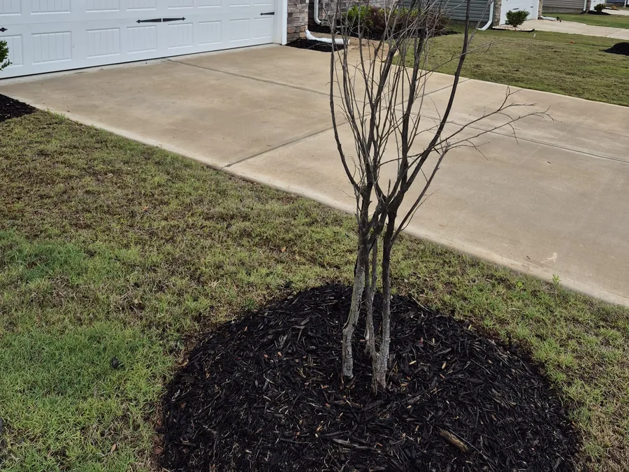 Mulch Installation